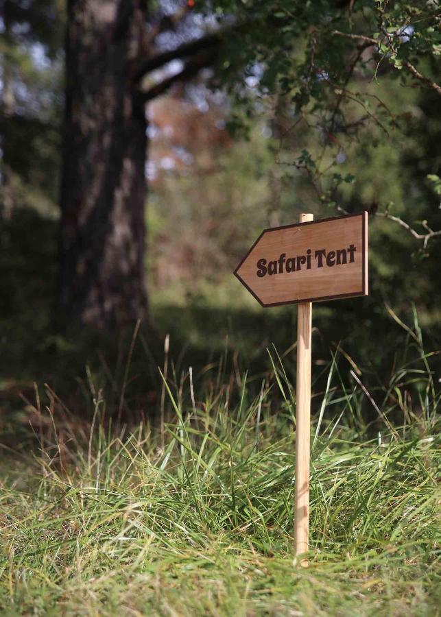Glamping In The Trosa Archipelago Buitenkant foto